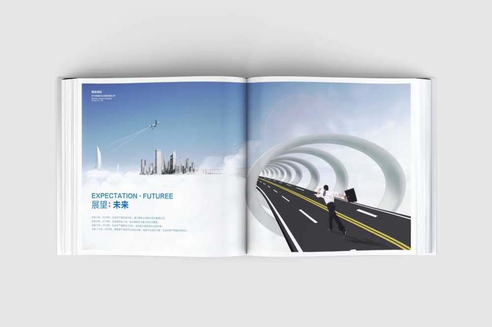 红桥区画册设计